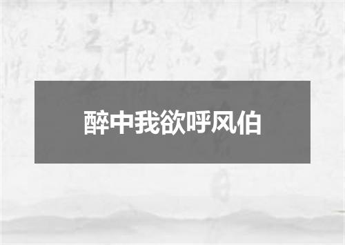 醉中我欲呼风伯