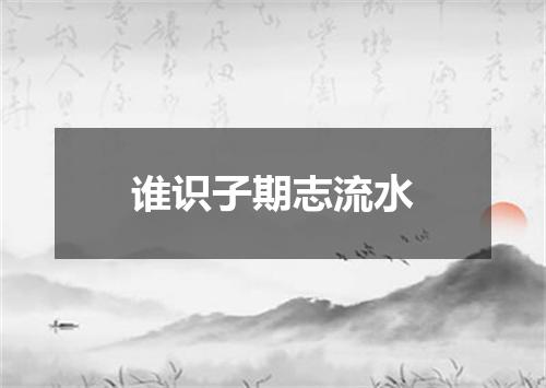 谁识子期志流水