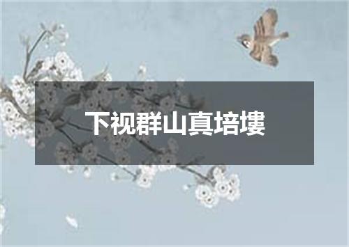 下视群山真培塿
