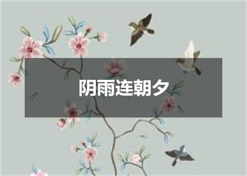 阴雨连朝夕