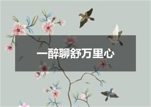 一醉聊舒万里心