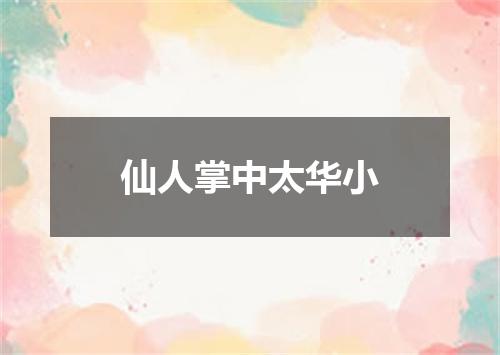 仙人掌中太华小