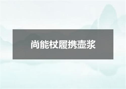 尚能杖履携壶浆