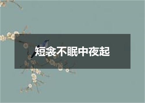 短衾不眠中夜起
