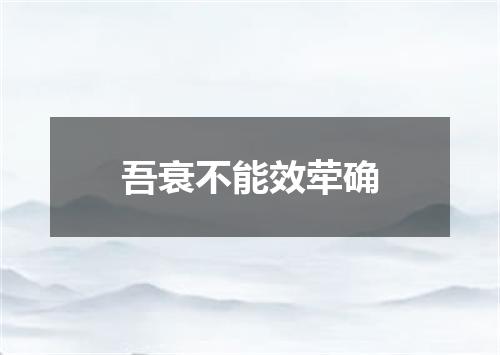 吾衰不能效荦确