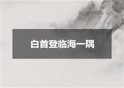 白首登临海一隅