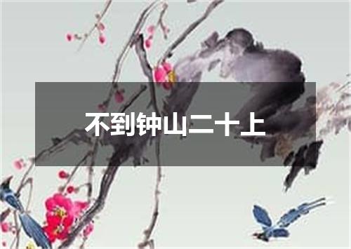 不到钟山二十上