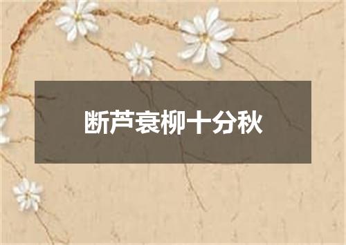 断芦衰柳十分秋