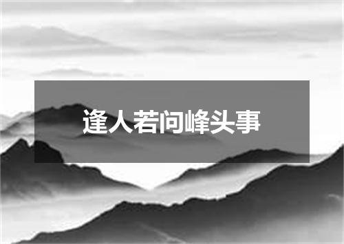 逢人若问峰头事