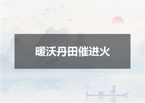 暖沃丹田催进火