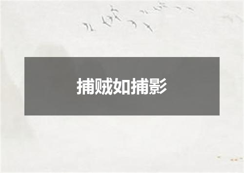 捕贼如捕影