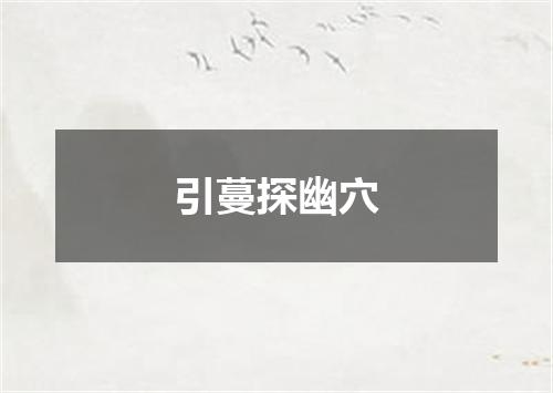 引蔓探幽穴