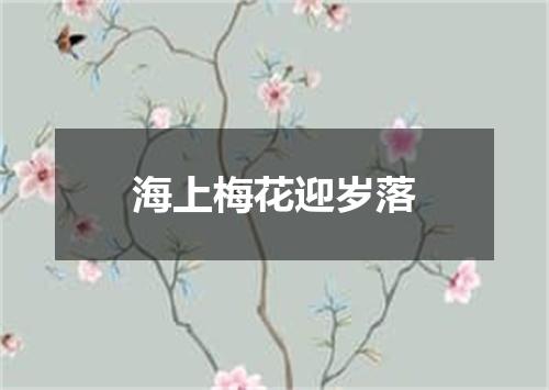 海上梅花迎岁落