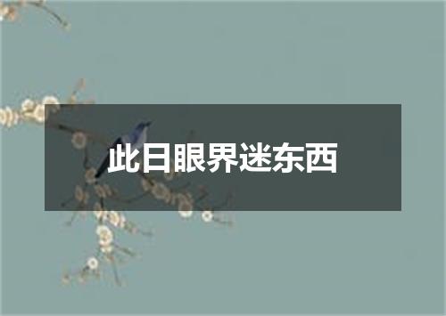 此日眼界迷东西