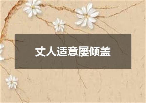 丈人适意屡倾盖