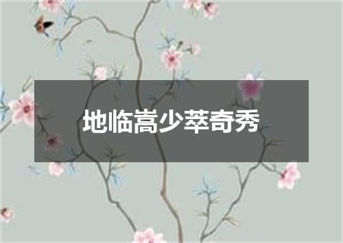 地临嵩少萃奇秀