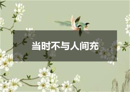 当时不与人间充