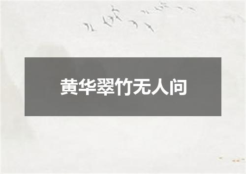 黄华翠竹无人问
