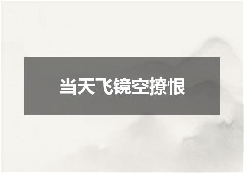 当天飞镜空撩恨