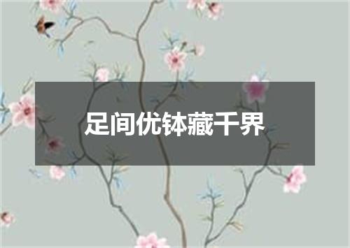 足间优钵藏千界