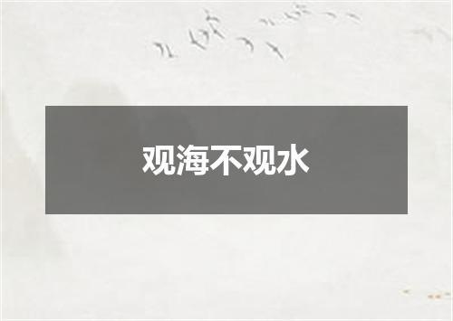 观海不观水