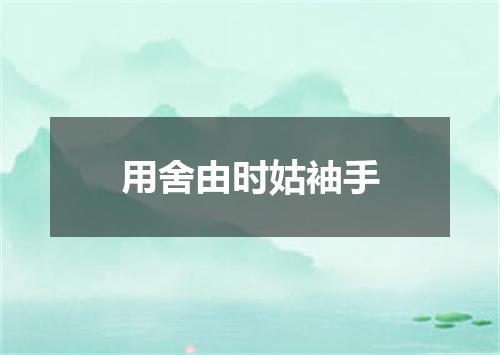 用舍由时姑袖手