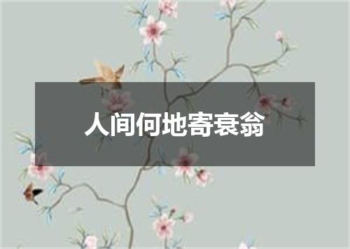 人间何地寄衰翁