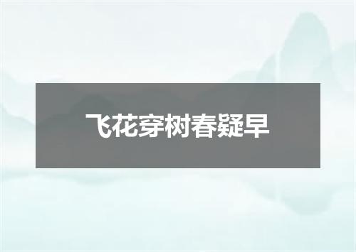 飞花穿树春疑早