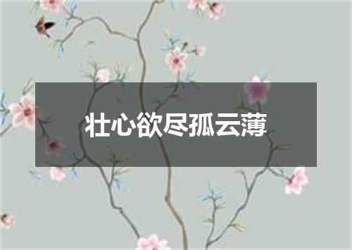 壮心欲尽孤云薄