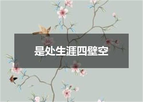 是处生涯四壁空