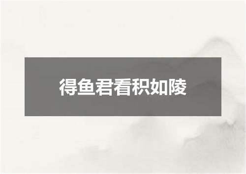 得鱼君看积如陵