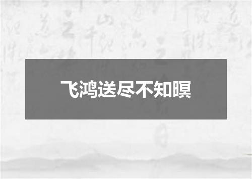 飞鸿送尽不知暝