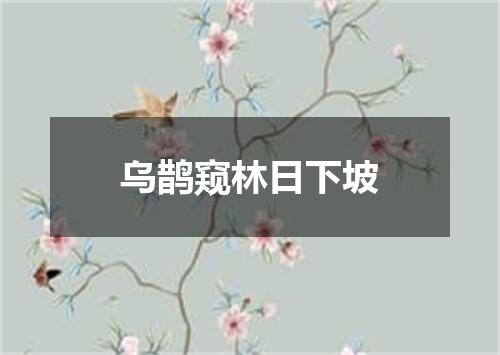 乌鹊窥林日下坡
