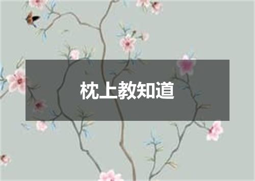 枕上教知道