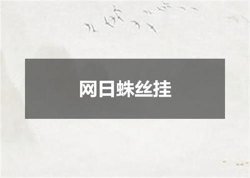网日蛛丝挂