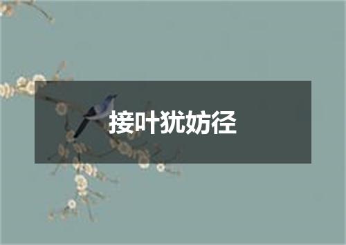 接叶犹妨径