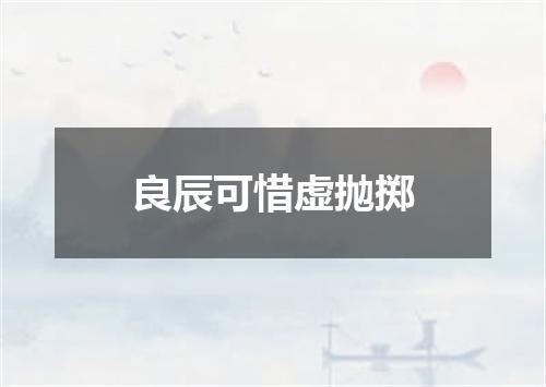 良辰可惜虚抛掷