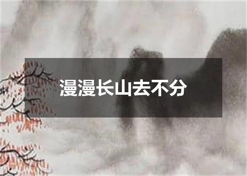 漫漫长山去不分