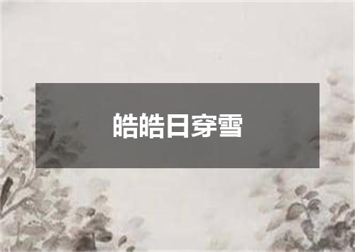 皓皓日穿雪