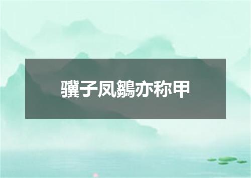 骥子凤鶵亦称甲