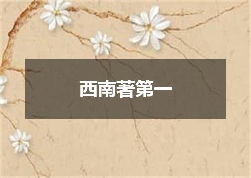 西南著第一