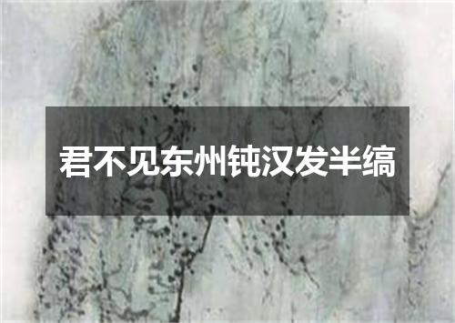 君不见东州钝汉发半缟