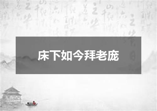 床下如今拜老庞