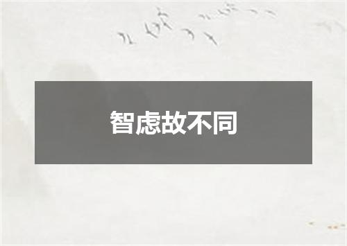 智虑故不同
