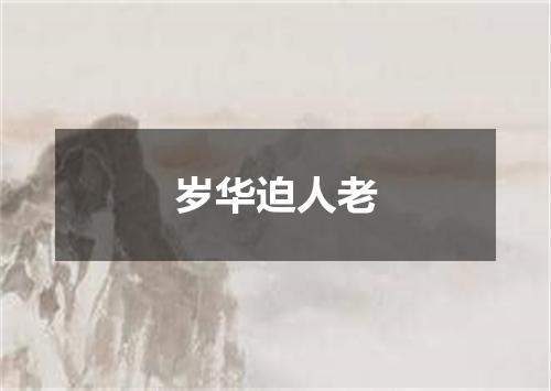 岁华迫人老