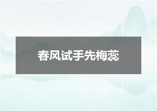 春风试手先梅蕊
