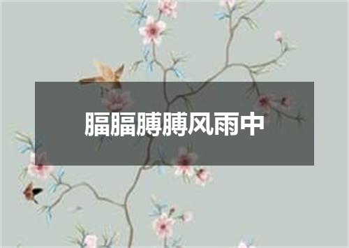 腷腷膊膊风雨中