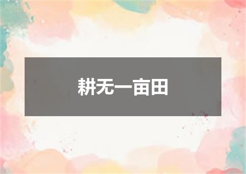 耕无一亩田