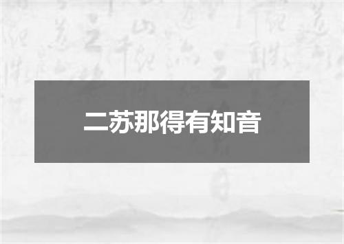 二苏那得有知音