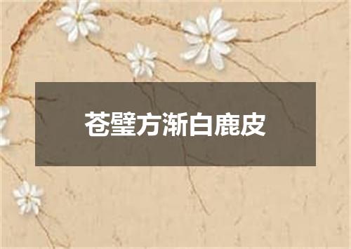 苍璧方渐白鹿皮